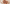 What Does “Barely There™” Really Mean in Lip Colour?