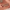 Game Changer Combo – ComfortMatte Lip Combo