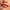Born to Lead - SVAM All Day Definition ComfortMatte Lip Crayon