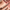 No Means No - SVAM All Day Definition ComfortMatte Lip Crayon